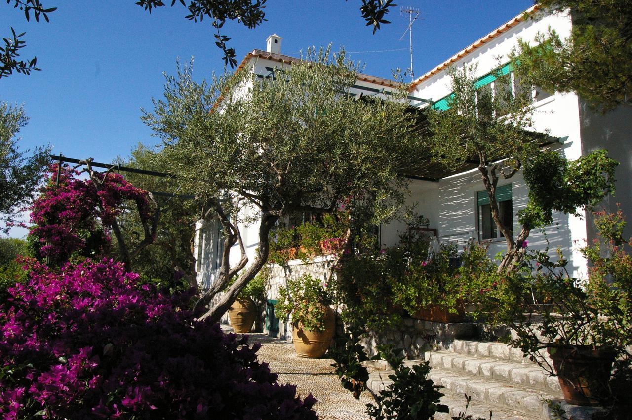 Il Rifugio B&B Capri Anacapri  Extérieur photo