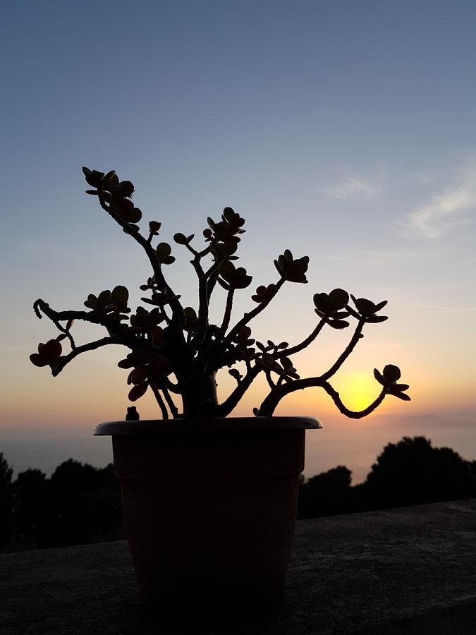Il Rifugio B&B Capri Anacapri  Extérieur photo