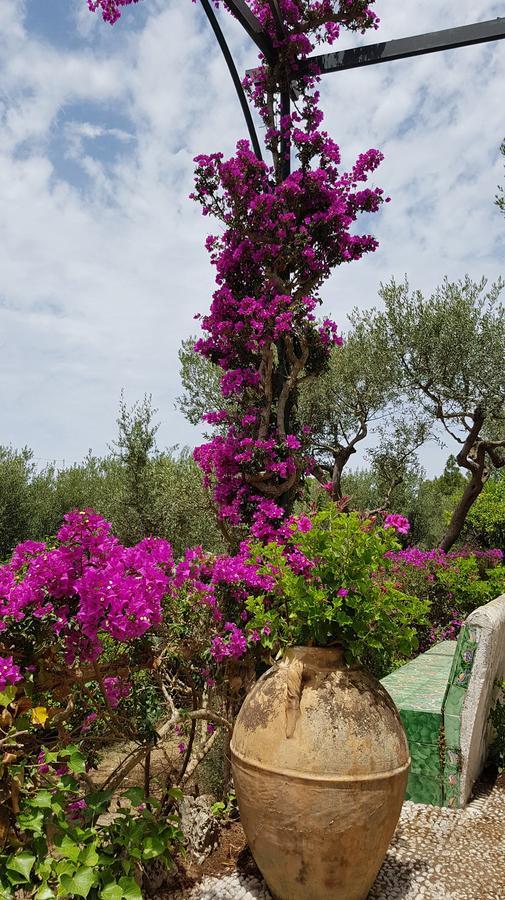 Il Rifugio B&B Capri Anacapri  Extérieur photo