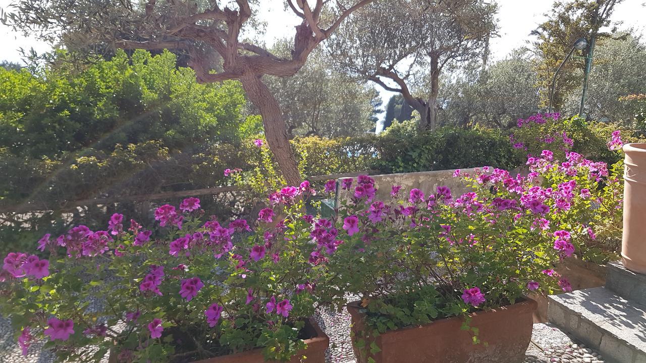 Il Rifugio B&B Capri Anacapri  Extérieur photo